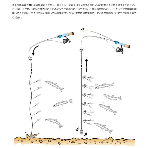 エッグアーム WAKASAGY44 クリスマスエッグ